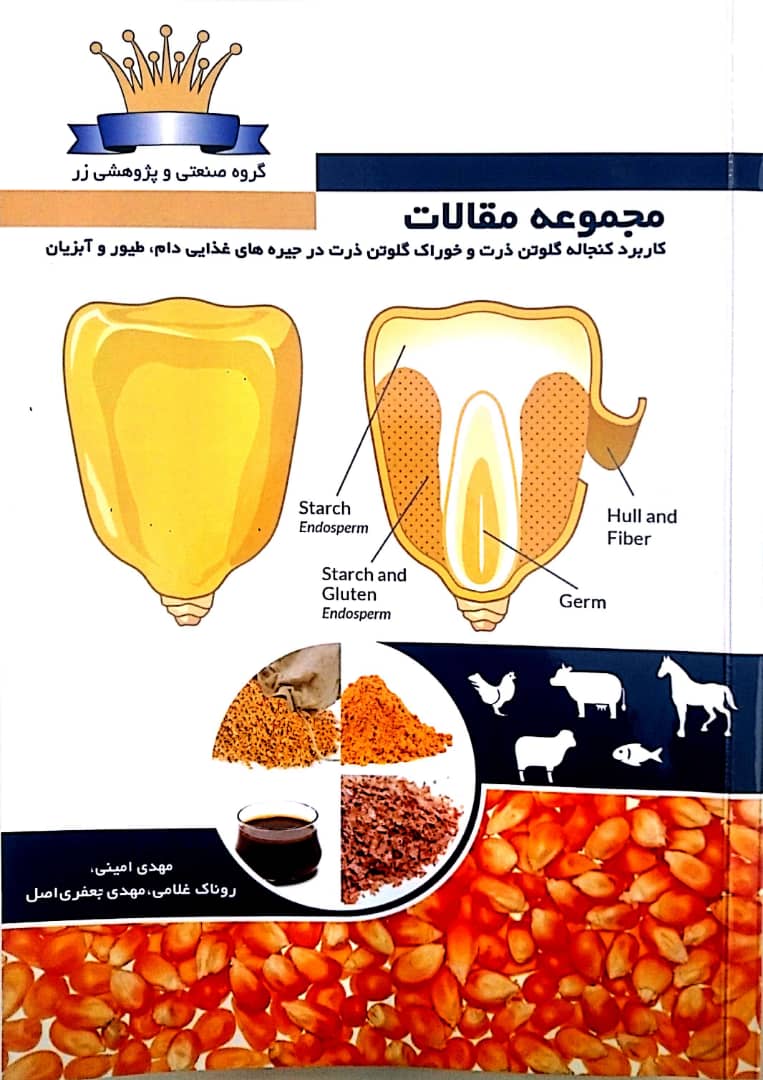 مجموعه مقالات، کاربرد کنجاله گلوتن ذرت و خوراک گلوتن ذرت